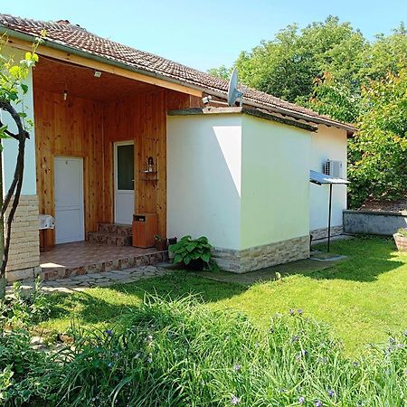 Divna Guest House Krusuna Kültér fotó