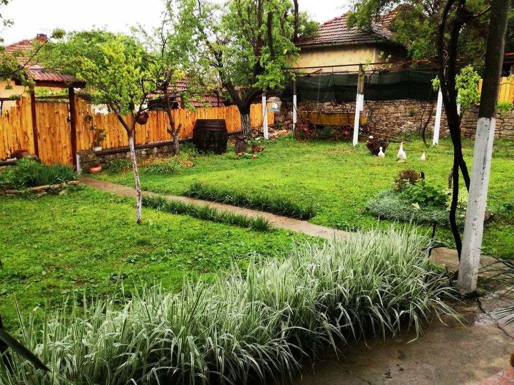 Divna Guest House Krusuna Kültér fotó