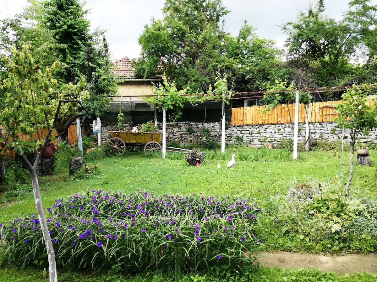 Divna Guest House Krusuna Kültér fotó